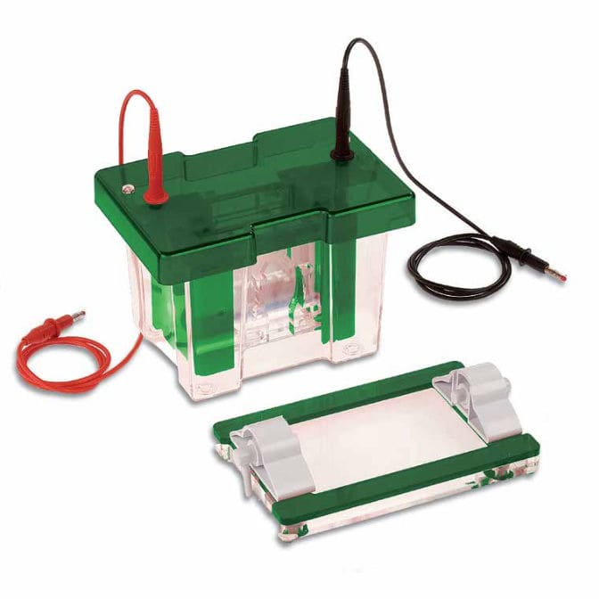 Vertical electrophoresis chamber EVS1 series Consort