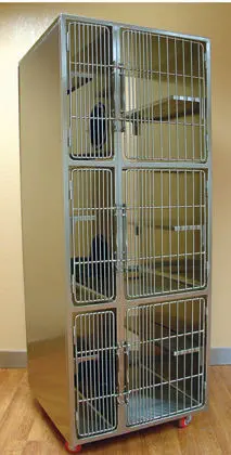 Stainless steel cat sales cages for shelters