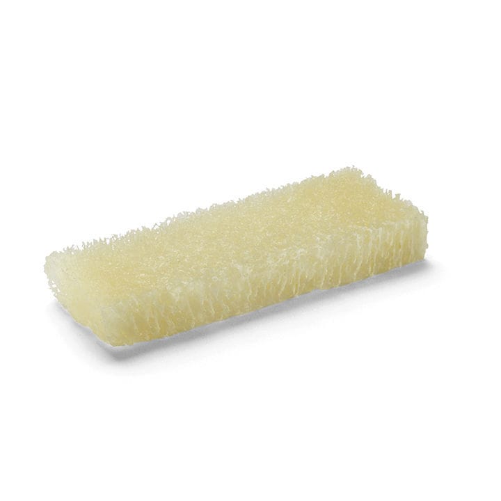 Allograft bone substitute Influx™ Isto Biologics for orthopedic