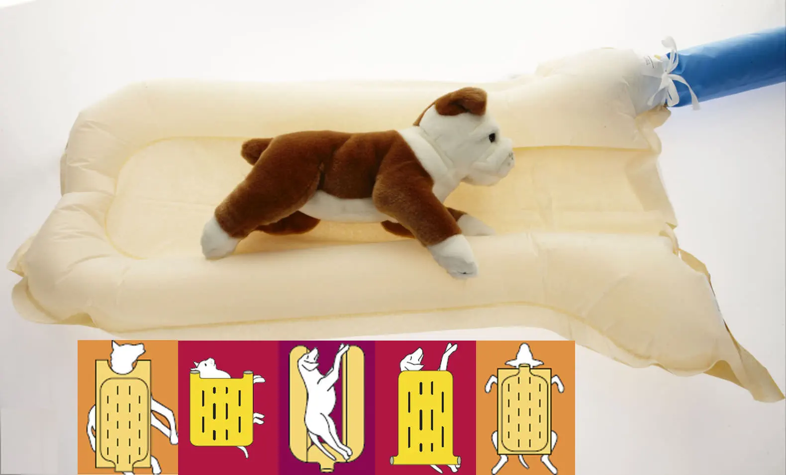 Bair Hugger Blanket Dog | informacionpublica.svet.gob.gt