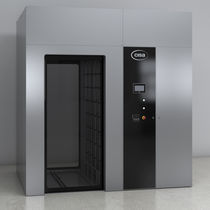 Trolley washer-disinfector / floor-standing