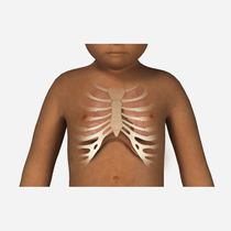 SIMTICS: Primary care - MedicalExpo