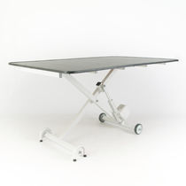 Veterinary examination table, Veterinary treatment table - All medical ...