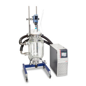 membrane reactor
