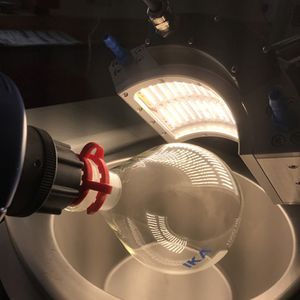 laboratory photobioreactor