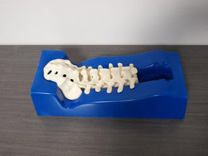 model holder