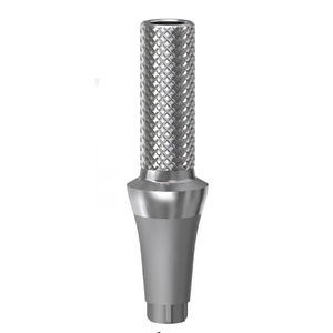 straight implant abutment / titanium / internal / temporary