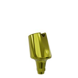 titanium implant abutment 1