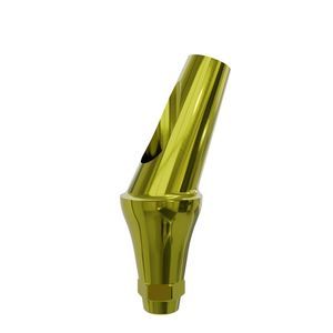 titanium implant abutment 1