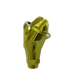 titanium implant abutment 1