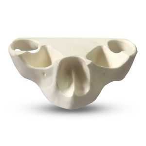 serosa anatomical model 1