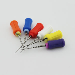 rotary dental file 1