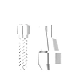 titanium implant abutment