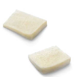 allograft bone substitute