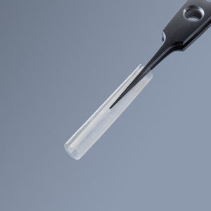 nerve tissue matrix