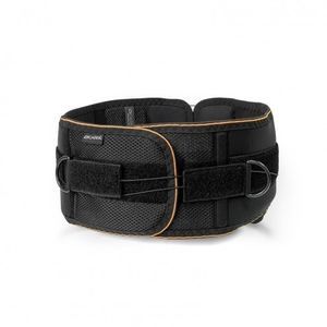 lumbar support belt