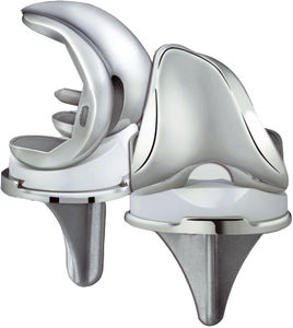 total knee prosthesis