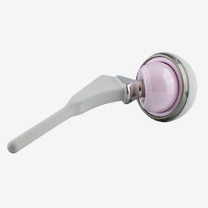 primary hip prosthesis
