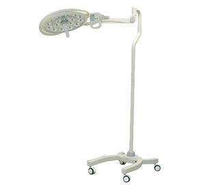 LED examination light