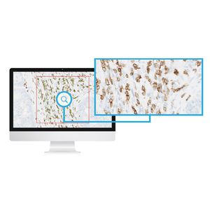 image analysis software module / for histopathology laboratories / immunohistochemistry / for immunofluorescence