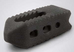 lumbar interbody fusion cage / posterior / oblique