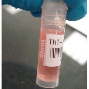 tube label