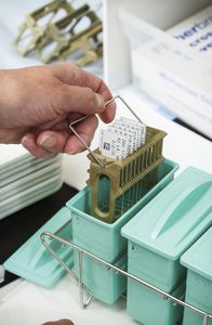 microscope slide label roll 1