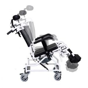 shower chair with armrests
