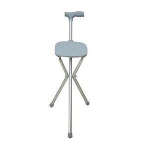 T-handle walking stick 1