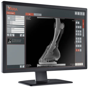 veterinary radiology software