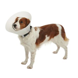 polyethylene veterinary collar