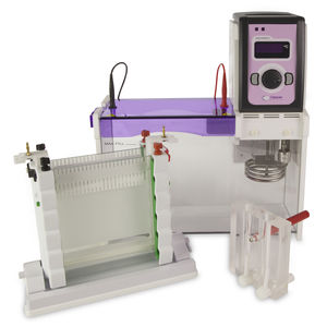 DNA electrophoresis system