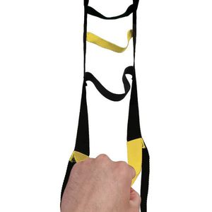 flexible bed ladder