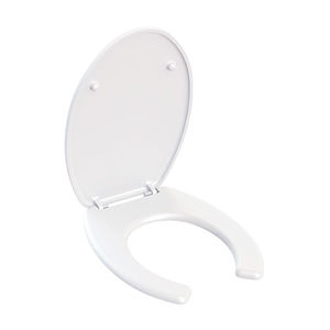toilet seat with lid