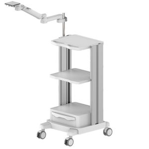 endoscopy cart