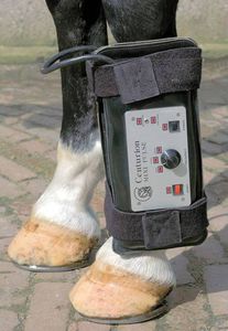 equine Magnetotherapy unit 1