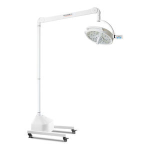 mobile surgical light