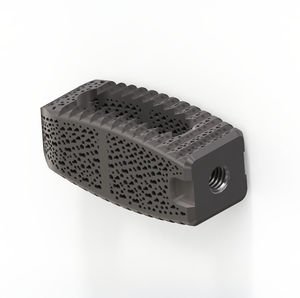 lumbar interbody fusion cage