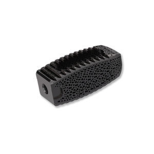 lumbar interbody fusion cage