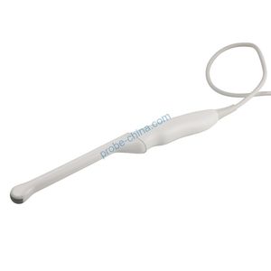 Endocavitary ultrasound transducer, Endocavitary ultrasound probe - All ...