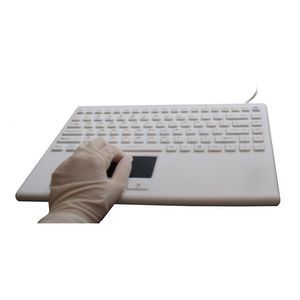 keyboard with pointing device