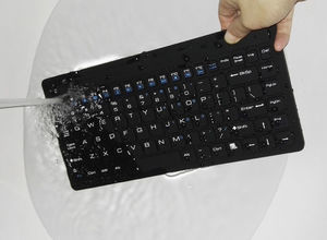 keyboard with pointing device 1
