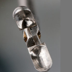 urology forceps
