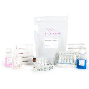 Taq DNA polymerase reagent kit