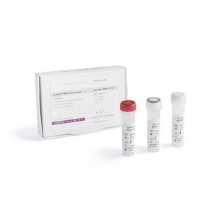 isothermal amplification reagent kit
