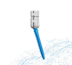thoraco-lumbar pedicle screw