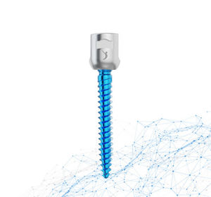 thoraco-lumbar pedicle screw 1