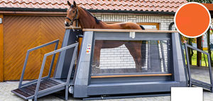 horse veterinary treadmill