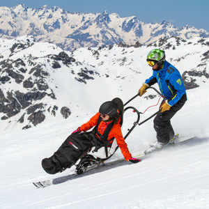 passive dualski