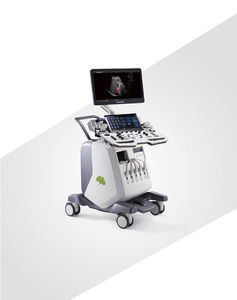 on-platform ultrasound system